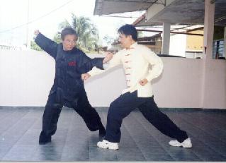 Choy-Li-Fatt Kungfu