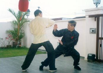 Counter against Knee Strike