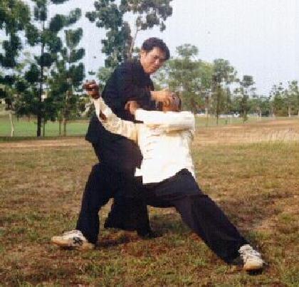 shaolin techniques images