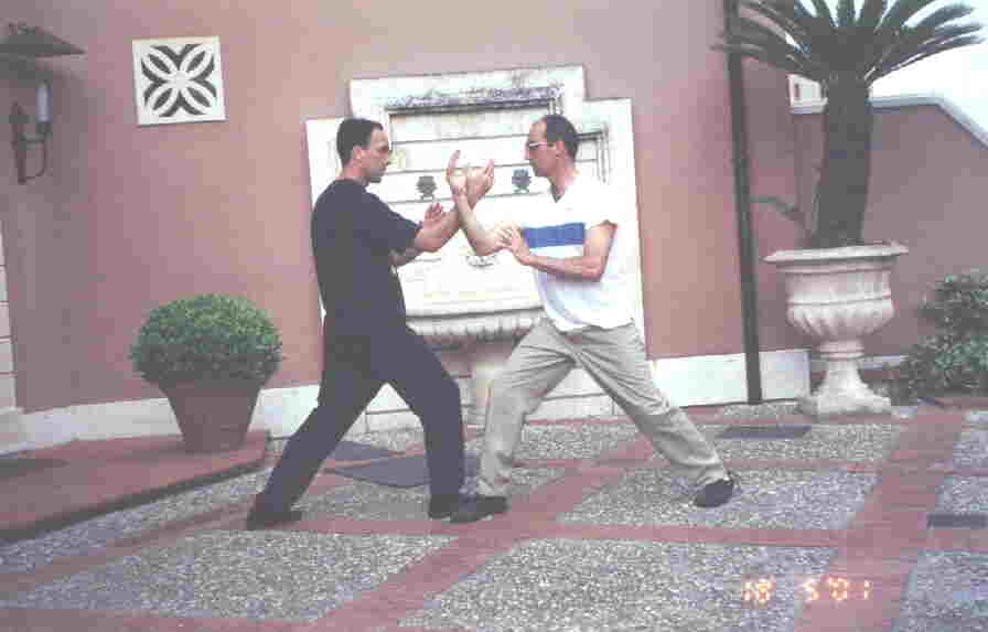 Taijiquan Pushing Hands