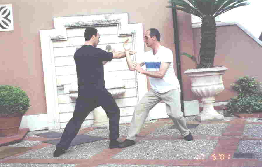 Taijiquan Pushing Hands