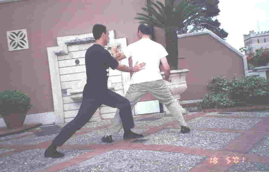 Taijiquan Pushing Hands