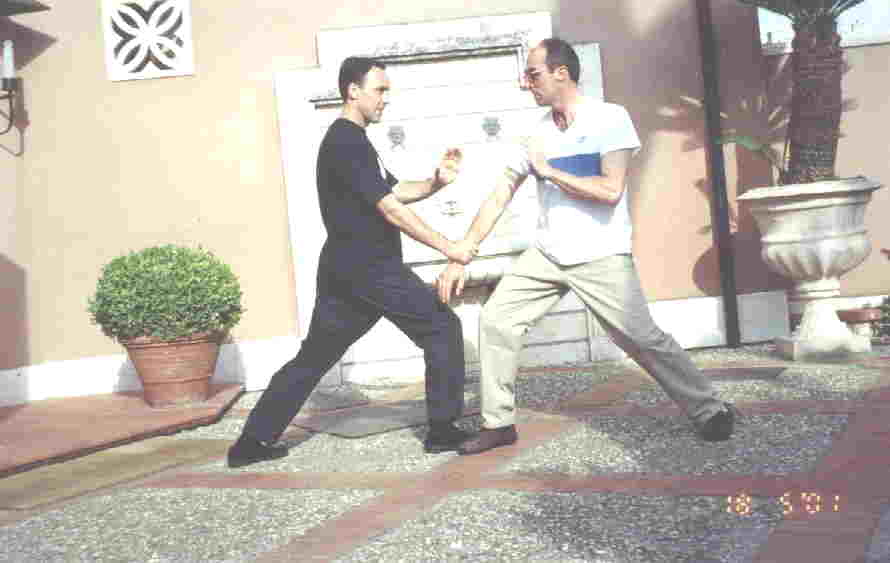 Taijiquan Pushing Hands