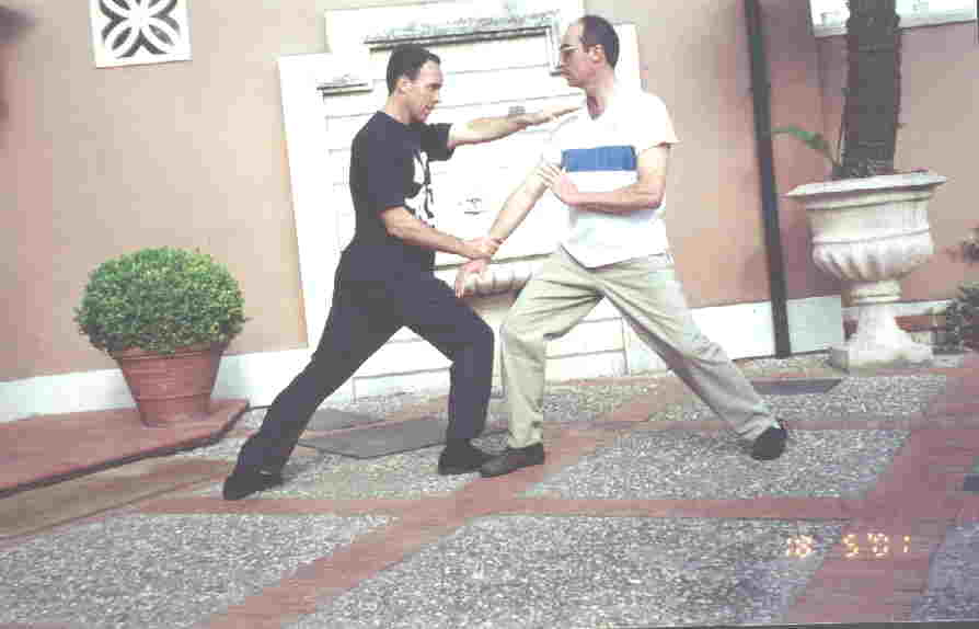 Taijiquan Pushing Hands