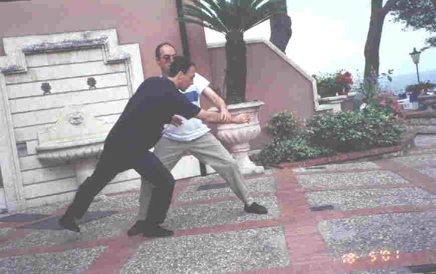 Taijiquan Pushing Hands