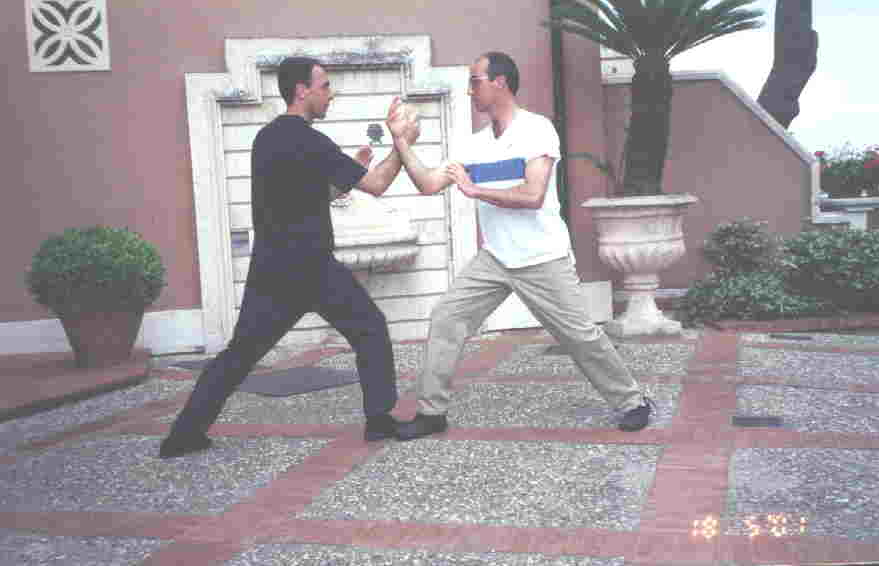 Taijiquan Striking Hands