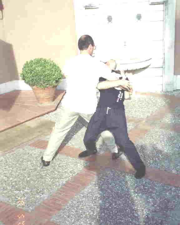 Taijiquan Pushing Hands