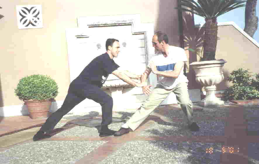 Taijiquan Pushing Hands