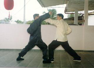 kungfu sparring