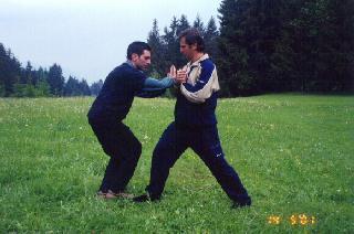 Taijiquan Pushing Hands