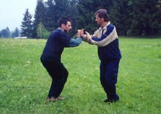 Taijiquan Pushing Hands