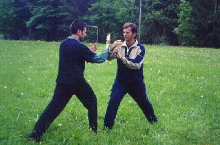 Taijiquan Pushing Hands