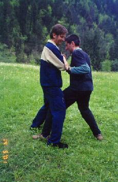 Taijiquan Pushing Hands