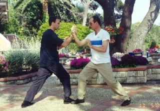 Taijiquan Pushing Hands