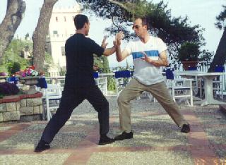 Taijiquan Pushing Hands