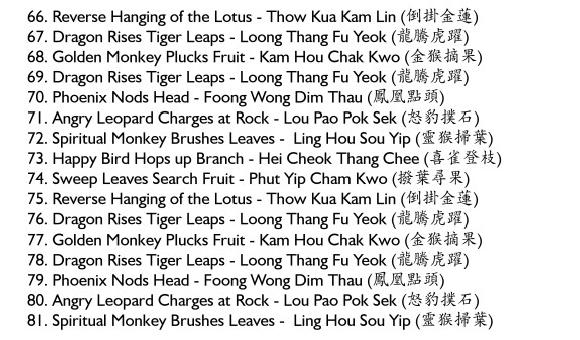 Shaolin Monkey Set Chinese Names