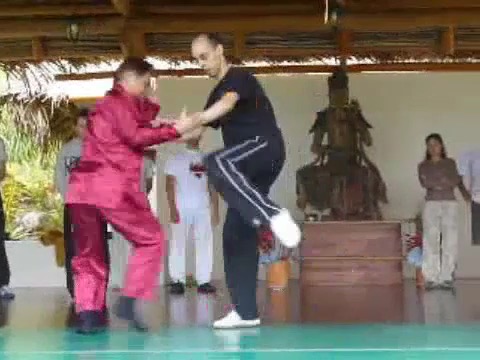 Intensive Taijiquan Course