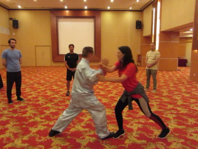 Intensive Taijiquan Course