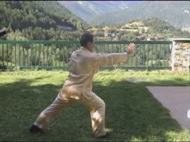 Shaolin Combat Sequences