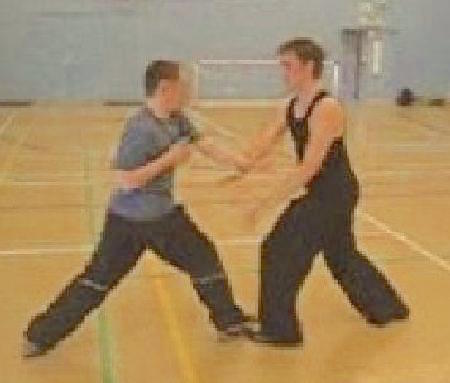 Taijiquan free sparring