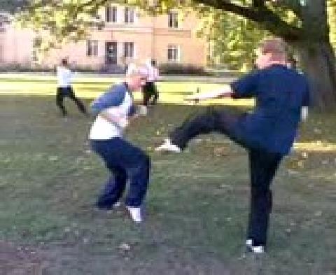 Shaolin Kungfu free sparring