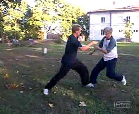 Shaolin Kungfu free sparring