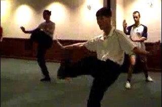 Shaolin Kung Fu Basic Kicks