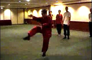 Shaolin Kung Fu Kicks