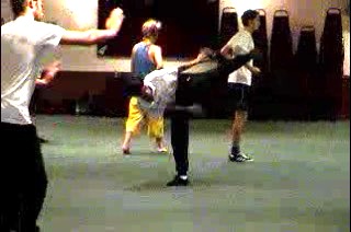 Shaolin Kung Fu Kicks