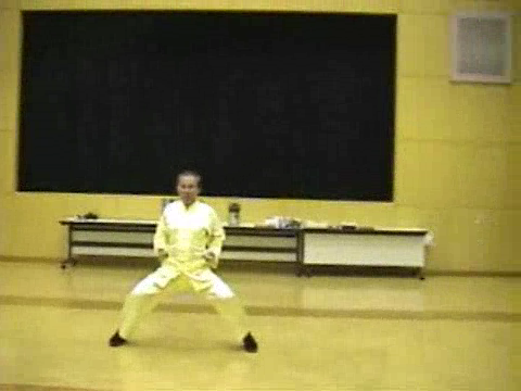 Shaolin Kung Fu