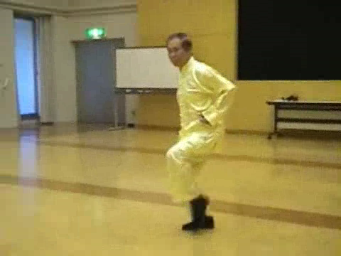 Shaolin Kung Fu