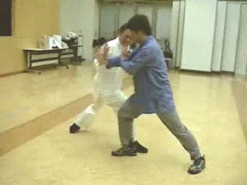 Wahnam Taijiquan, Tai Chi Chuan