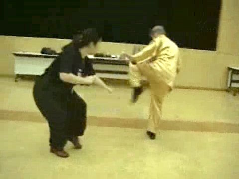 Wahnam Taijiquan, Tai Chi Chuan