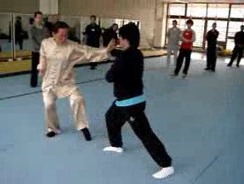 shaolin kung fu