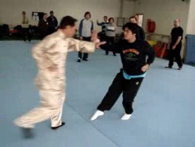 Shaolin Kungfu in Portugal