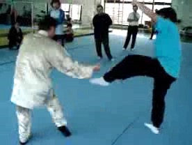 Shaolin Kung Fu Combat Application