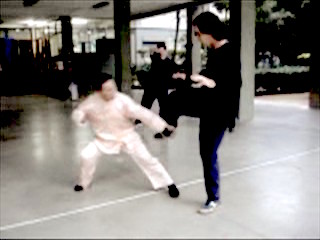 Shaolin Kung Fu