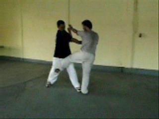 Tantui Combat Sequences