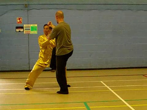 12 Combat Sequences of Shaolin Tantui