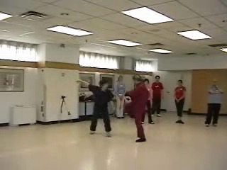 12 Combat Sequences of Shaolin Tantui