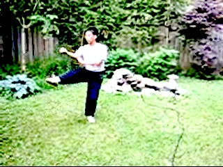 Shaolin Tantui