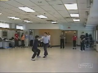 12 Combat Sequences of Shaolin Tantui