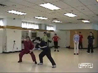 12 Combat Sequences of Shaolin Tantui