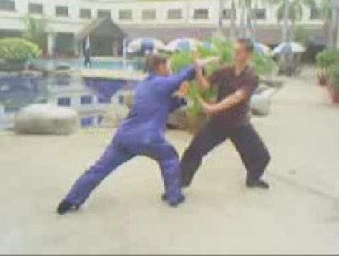 Wahnam Taijiquan