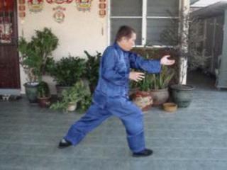 Eagle Claw Kungfu