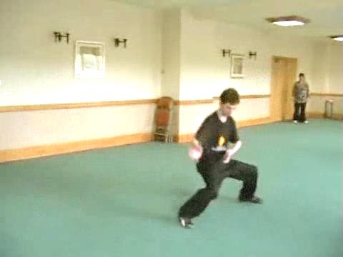 Shaolin Four-Sequence Set - Part 3