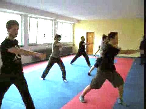 Shaolin Kungfu