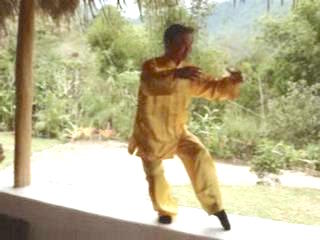 Wahnam Taijiquan