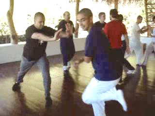 Wahnam Taijiquan