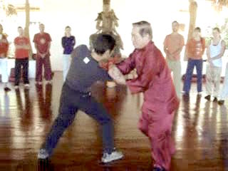 Wahnam Taijiquan